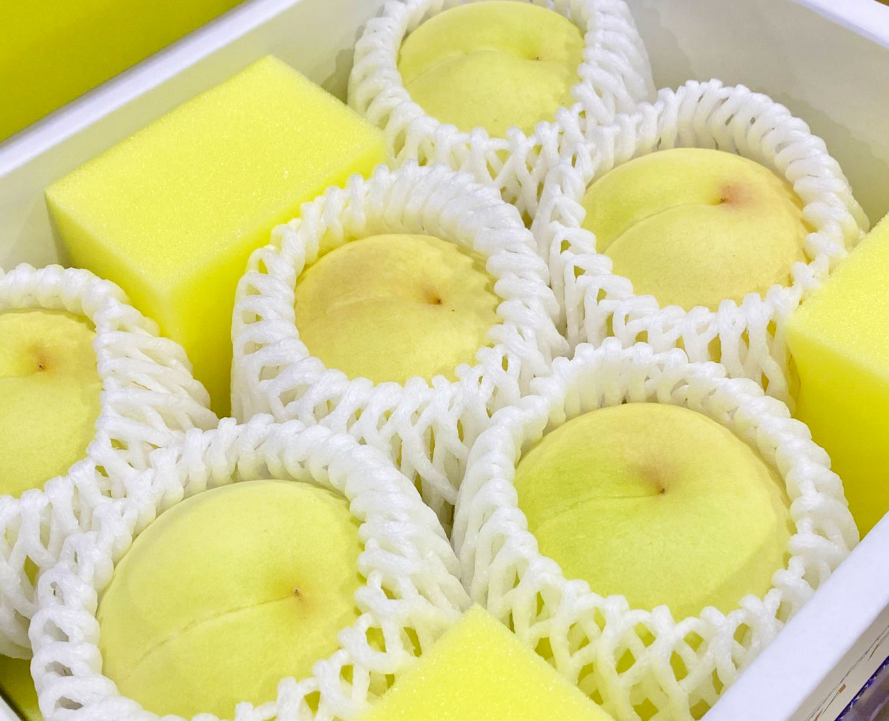 はるか品 岡山県産冬桃がたり 箱入6玉 ワケアリ品 ふるさと納税 もも 岡山県